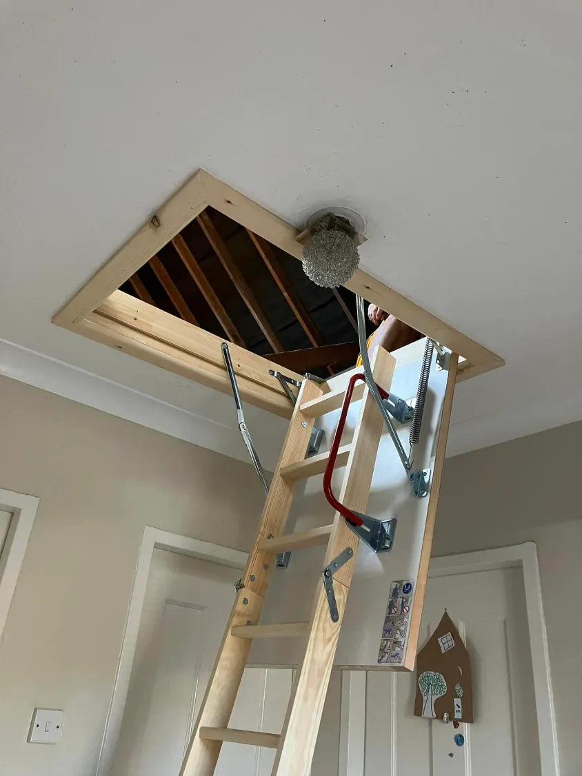 474000170_1109415460876487_4908499427367195054_n