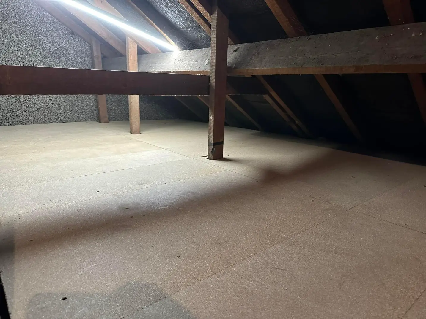 477204190_1126283825856317_4734119446088663479_n